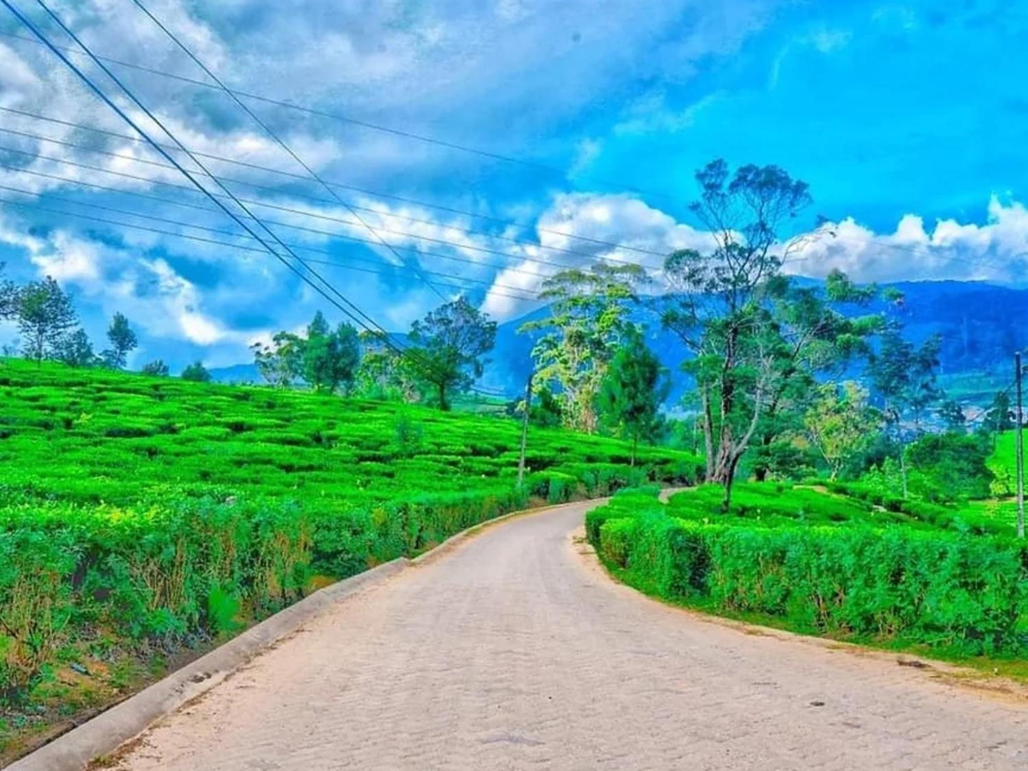 Stoney Croft Cottage Nuwara Eliya Zewnętrze zdjęcie