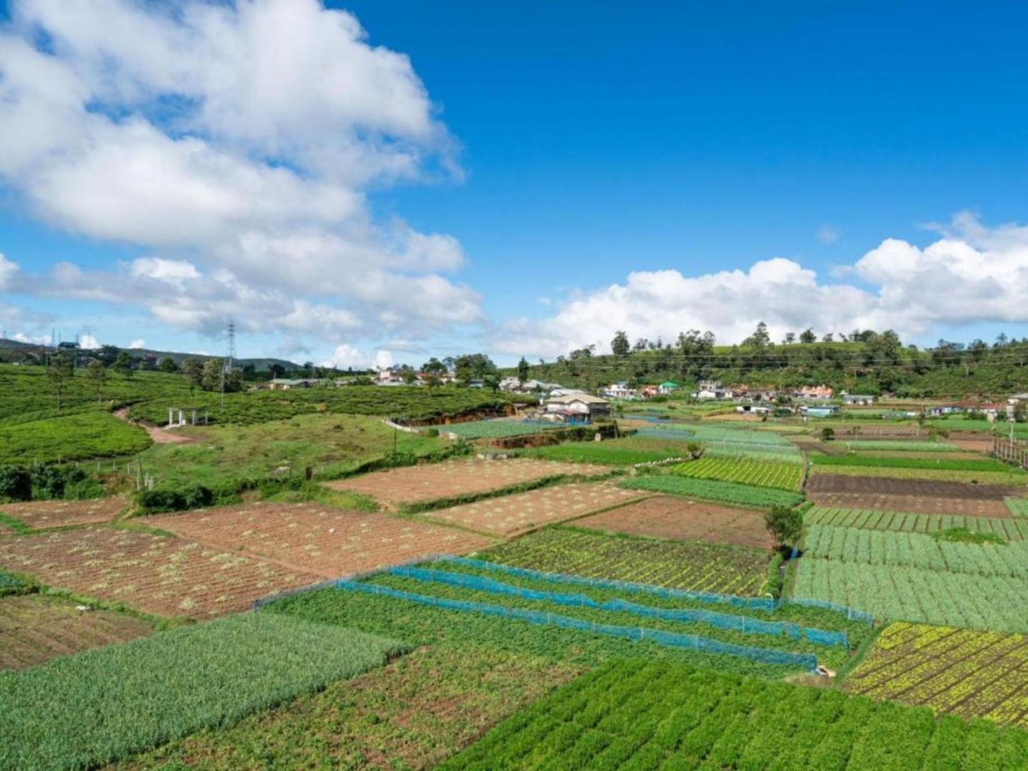 Stoney Croft Cottage Nuwara Eliya Zewnętrze zdjęcie